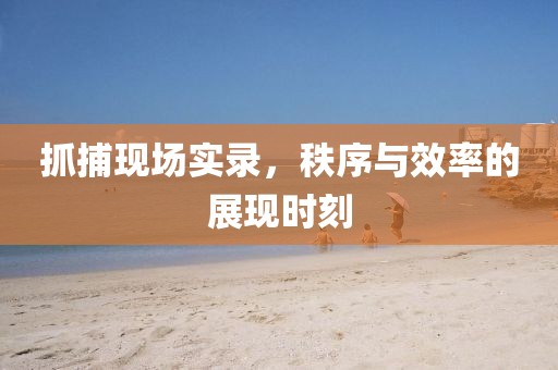 抓捕現(xiàn)場實錄，秩序與效率的展現(xiàn)時刻