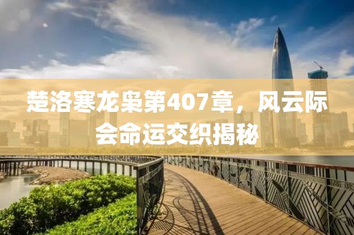 楚洛寒龍梟第407章，風(fēng)云際會命運(yùn)交織揭秘