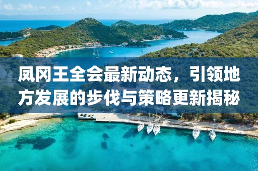 鳳岡王全會最新動態(tài)，引領(lǐng)地方發(fā)展的步伐與策略更新揭秘