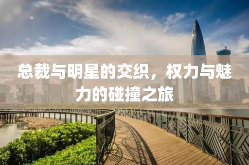 總裁與明星的交織，權(quán)力與魅力的碰撞之旅