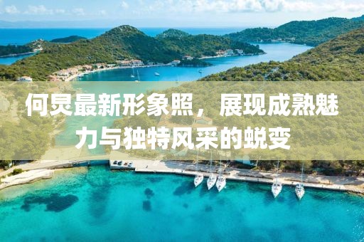 何炅最新形象照，展現(xiàn)成熟魅力與獨(dú)特風(fēng)采的蛻變
