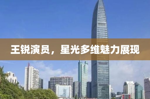 王銳演員，星光多維魅力展現(xiàn)