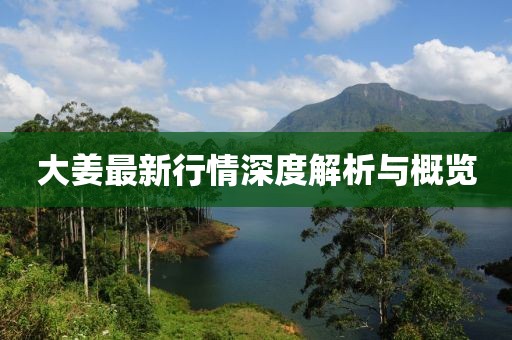 大姜最新行情深度解析與概覽