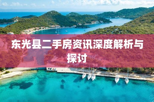 東光縣二手房資訊深度解析與探討