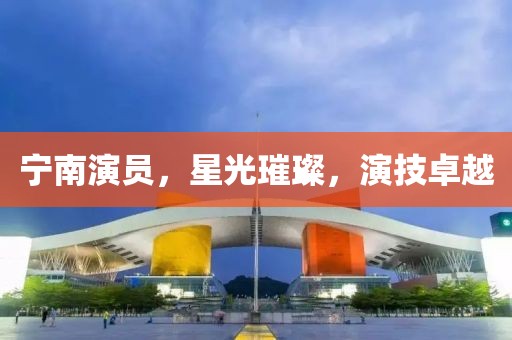 寧南演員，星光璀璨，演技卓越