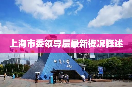 上海市委領(lǐng)導(dǎo)層最新概況概述