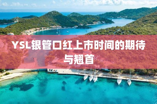 YSL銀管口紅上市時(shí)間的期待與翹首