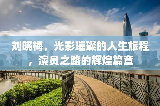 劉曉梅，光影璀璨的人生旅程，演員之路的輝煌篇章