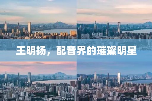 王明揚(yáng)，配音界的璀璨明星