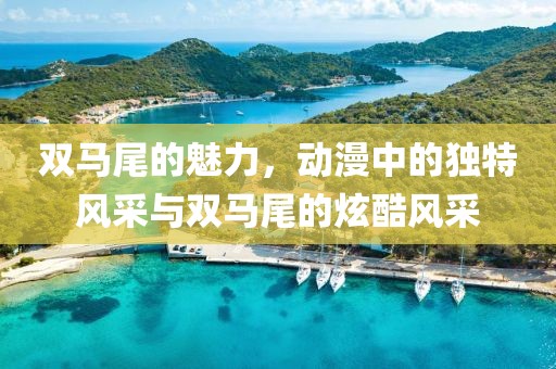 雙馬尾的魅力，動漫中的獨特風采與雙馬尾的炫酷風采