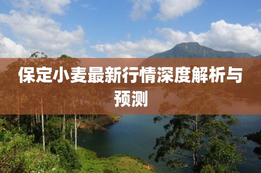 保定小麥最新行情深度解析與預(yù)測(cè)