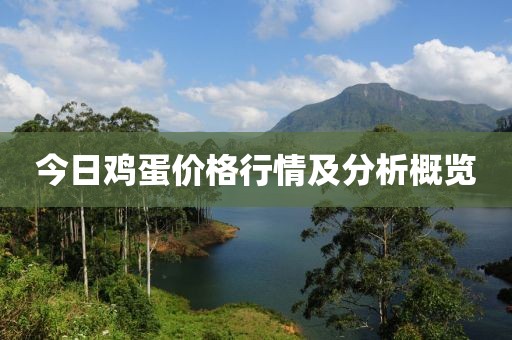 今日雞蛋價格行情及分析概覽
