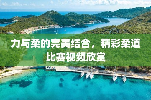 力與柔的完美結(jié)合，精彩柔道比賽視頻欣賞