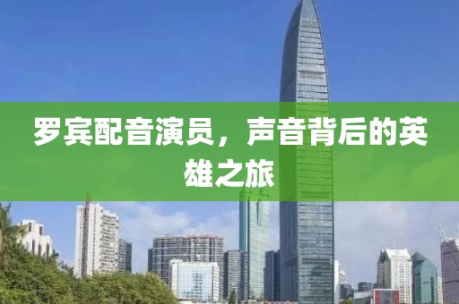 羅賓配音演員，聲音背后的英雄之旅