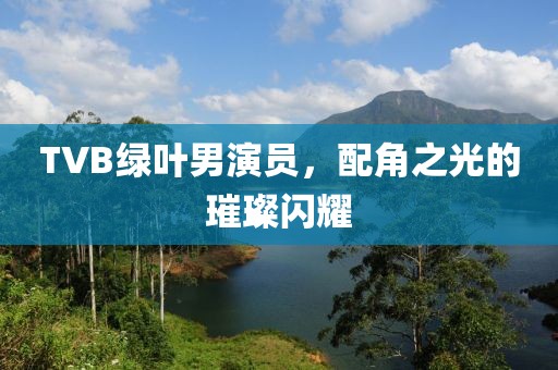TVB綠葉男演員，配角之光的璀璨閃耀