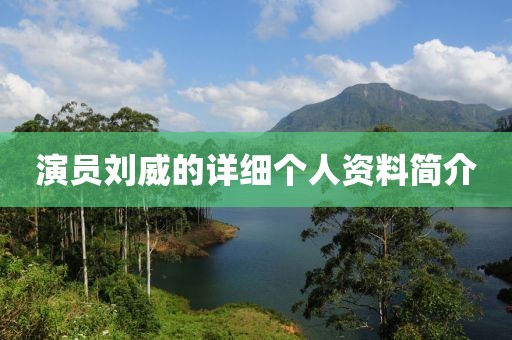 演員劉威的詳細(xì)個人資料簡介