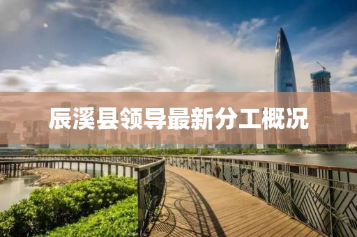 辰溪縣領(lǐng)導(dǎo)最新分工概況