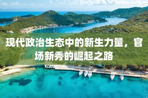 現(xiàn)代政治生態(tài)中的新生力量，官場(chǎng)新秀的崛起之路