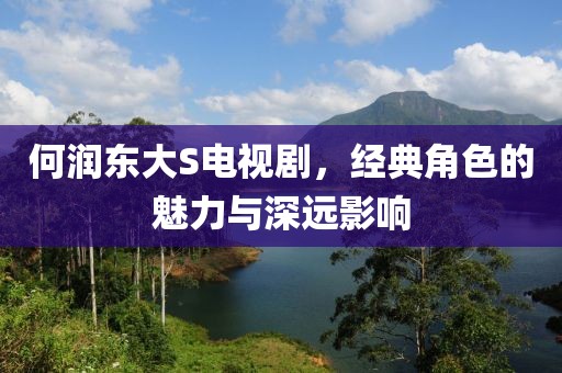 何潤東大S電視劇，經(jīng)典角色的魅力與深遠(yuǎn)影響