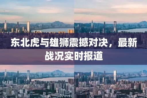 東北虎與雄獅震撼對(duì)決，最新戰(zhàn)況實(shí)時(shí)報(bào)道