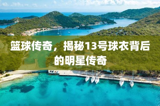 籃球傳奇，揭秘13號球衣背后的明星傳奇