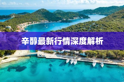 辛醇最新行情深度解析