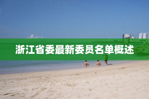 浙江省委最新委員名單概述