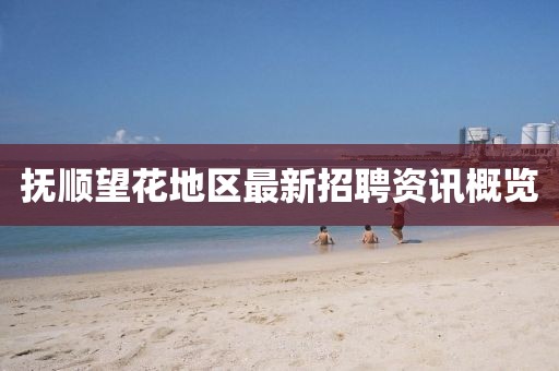 撫順望花地區(qū)最新招聘資訊概覽