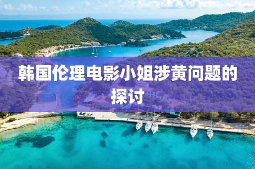 韓國倫理電影小姐涉黃問題的探討
