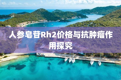 人參皂苷Rh2價(jià)格與抗腫瘤作用探究