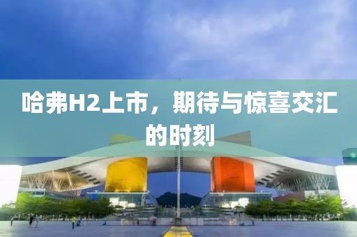 哈弗H2上市，期待與驚喜交匯的時刻