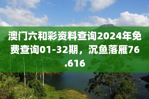 澳門六和彩資料查詢2024年免費(fèi)查詢01-32期，沉魚落雁76.616