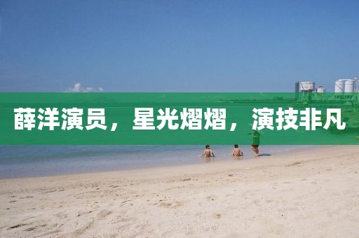 薛洋演員，星光熠熠，演技非凡