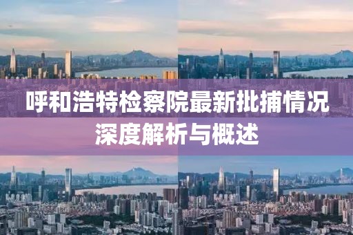 呼和浩特檢察院最新批捕情況深度解析與概述