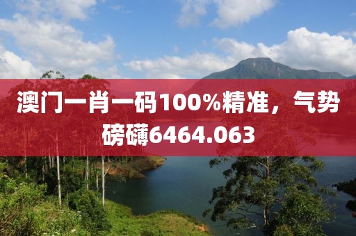 澳門一肖一碼100%精準(zhǔn)，氣勢(shì)磅礴6464.063