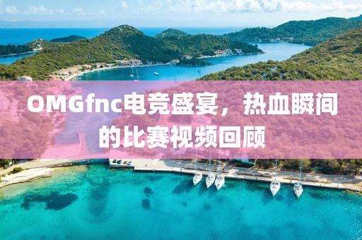 OMGfnc電競盛宴，熱血瞬間的比賽視頻回顧