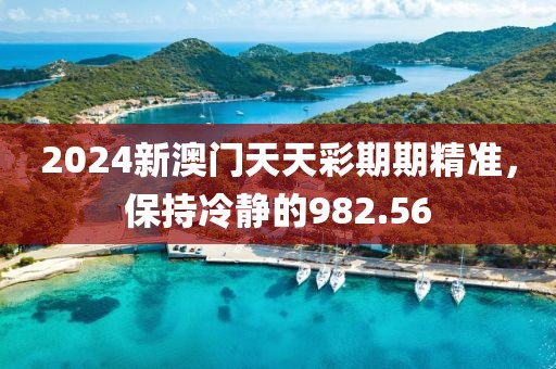 2024新澳門天天彩期期精準(zhǔn)，保持冷靜的982.56