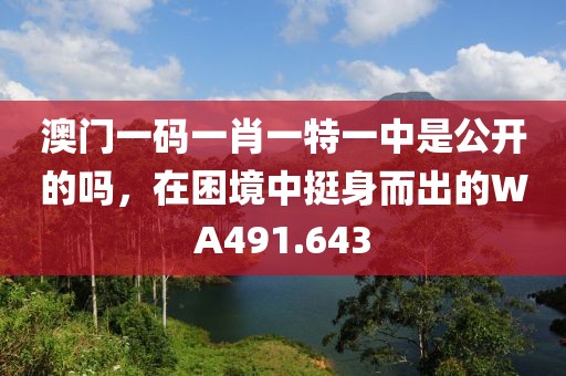 澳門一碼一肖一特一中是公開的嗎，在困境中挺身而出的WA491.643
