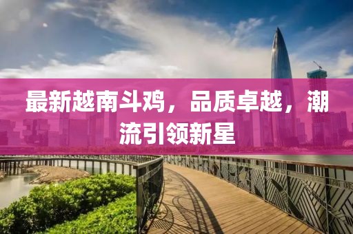 最新越南斗雞，品質(zhì)卓越，潮流引領(lǐng)新星