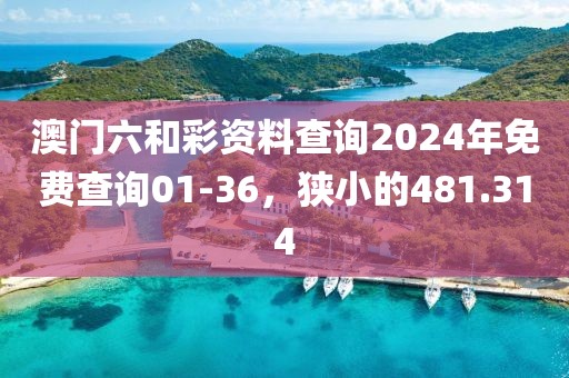 澳門六和彩資料查詢2024年免費查詢01-36，狹小的481.314