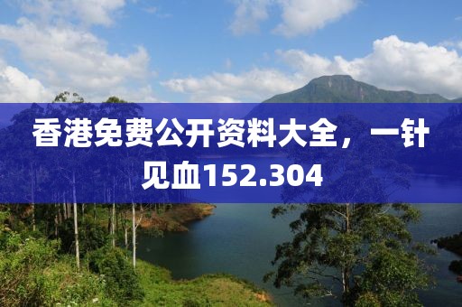 香港免費公開資料大全，一針見血152.304