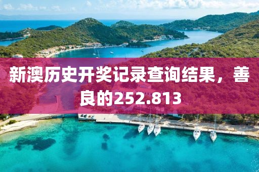 新澳歷史開獎記錄查詢結(jié)果，善良的252.813