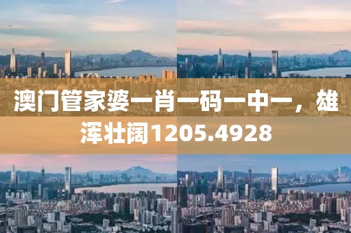 澳門管家婆一肖一碼一中一，雄渾壯闊1205.4928