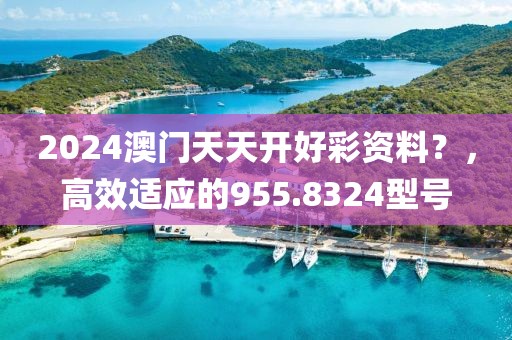 2024澳門天天開好彩資料？，高效適應(yīng)的955.8324型號(hào)