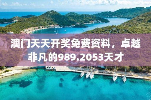 澳門天天開獎免費資料，卓越非凡的989.2053天才