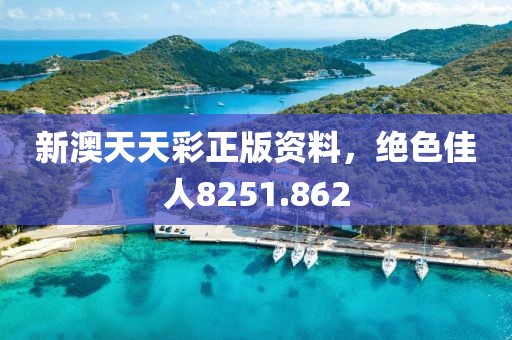 新澳天天彩正版資料，絕色佳人8251.862