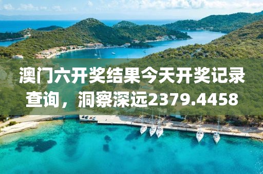 澳門六開獎結果今天開獎記錄查詢，洞察深遠2379.4458
