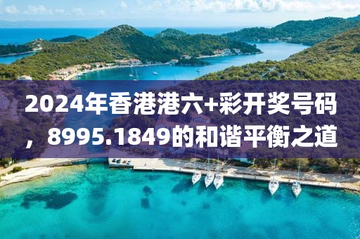 2024年香港港六+彩開獎號碼，8995.1849的和諧平衡之道