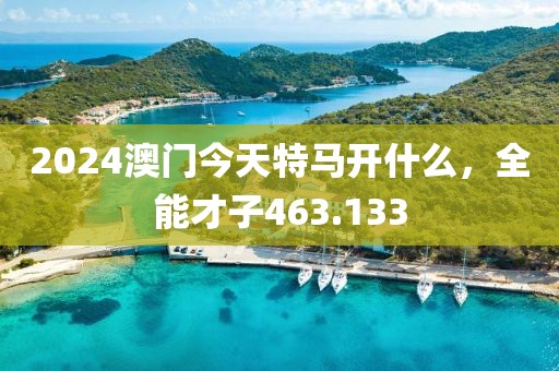 2024澳門今天特馬開什么，全能才子463.133