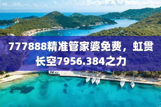 777888精準管家婆免費，虹貫長空7956.384之力